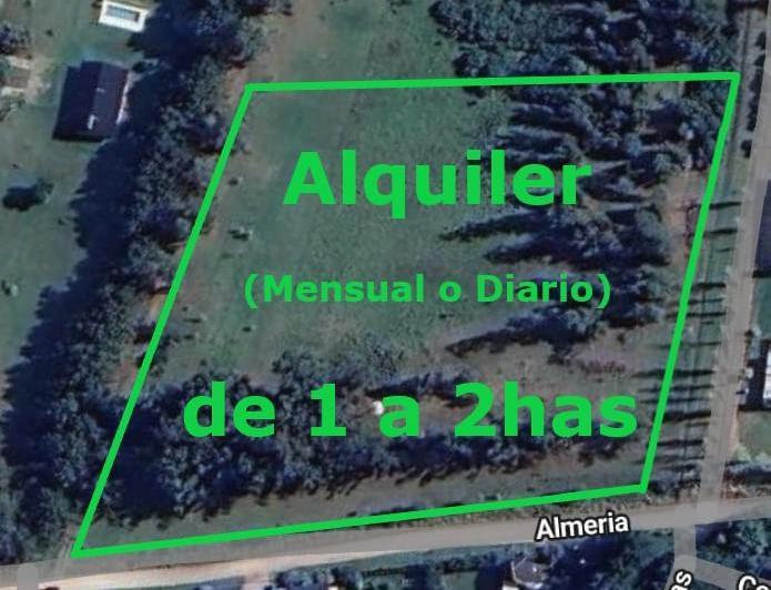 Campo · 1m²