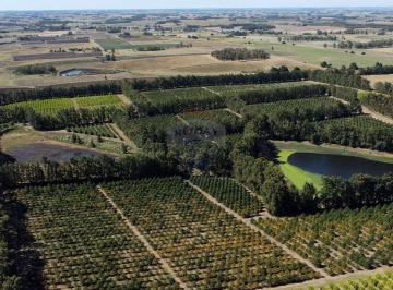 Campo · 1400ha · Venta Campo Quinta 92 Ha Ruta 11 Atlantida