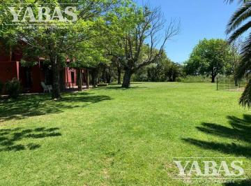 Campo · Venta Campo 9 Hectáreas - Sobre Barranca - San Pedro