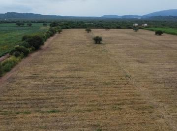 Campo · 570000m² · Hermosa Finca Agrícola en Venta