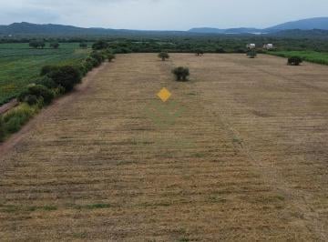 Campo · 570000m² · Hermosa Finca Agrícola en Venta