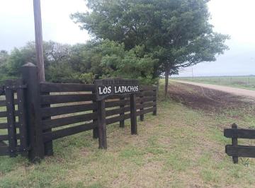 Campo · 5940000m² · 1 Ambiente · Campo Mixto de 594 Ha Alambrado a 10 Kms de Castelli
