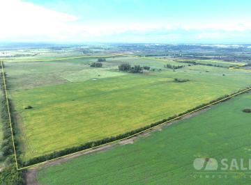 Campo · 2300000m² · Campo Mixto en Cardales con Mejoras