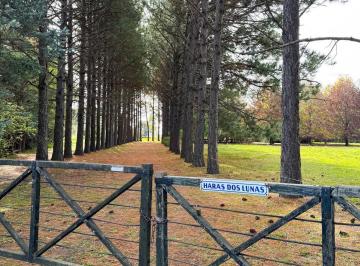 Campo · 520000m² · 4 Ambientes · Haras en Venta 52ha Lujan