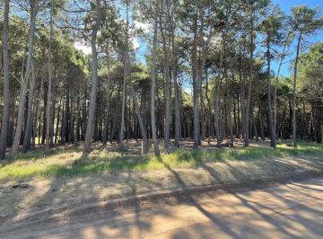 Terreno · 889m² · Terreno en Villa Robles, Brisas 58