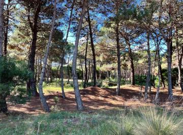Terreno · 929m² · Terreno en Villa Robles