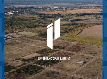 IPI-IPI-132_2 · Lote. | Colectora Ruta Nacional Al 100