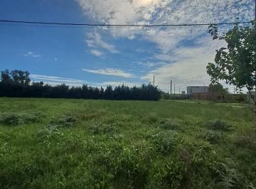 Terreno · 300m² · Terreno en Venta Melchor Romero