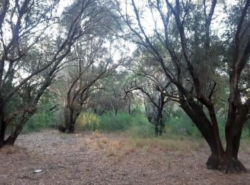 Campo · 760000m² · 76 Ha en Venta en El Corazon de Conlara, Traslasierras!