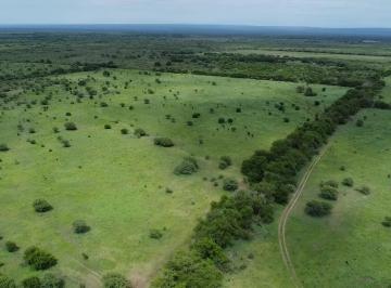 Campo · 530000m² · Se Vende Campo de 53 Ha en Guanaco Boleado, Traslasierra!