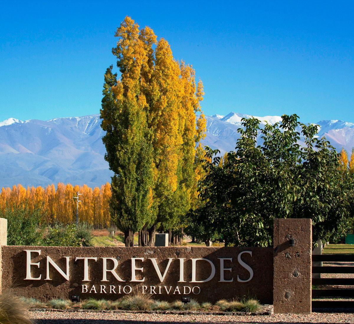RP88, M5561 Tupungato, Mendoza, Barrio Privado Entrevides, Tupungato
