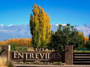 Terreno , Tupungato · Vende Lote! B° Privado Entrevides - Tupungato, Mendoza