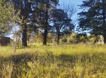 Terreno · 2043m² · Terreno en Venta en Casa Grande a Una Cuadra de La Ruta