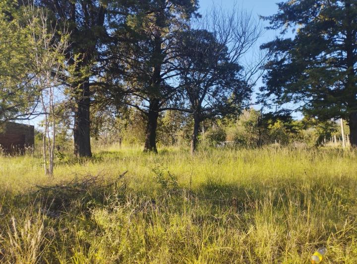 Terreno · 2043m²