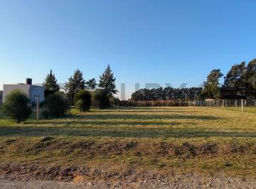 Terreno · 800m² · Lote en Venta, Ruta 36 Calle 38 E/ 192 y 193 Abasto Aldea del Bosque.