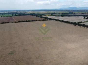 Campo · 2200000m² · Campo en Venta en El Carmen