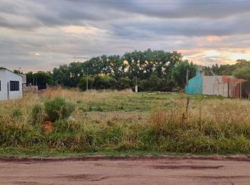 Terreno · 300m² · Terreno en Venta de 300 m² en Chascomus