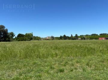 Terreno · 5007m² · Venta. Terreno 5007 m². Manzanares. La Ranita