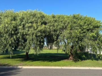 Terreno , Pilar · Venta Lote en Barrio San Sebastian Area 1 - Pilar del Este - Permuta - Escucho Oferta