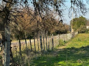 Campo · 150m² · 4 Ambientes · Campo 90743 Hectáreas |. | Ruta 11 Al Km 00