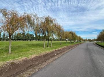 Terreno · 1000m² · Lote. | Ruta 2 Km 69