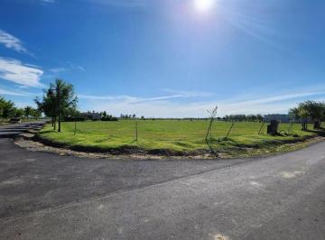 Terreno · 1000m² · Lote. | Ruta 2 Km69