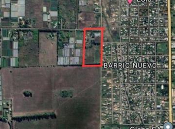 Terreno · 60000m² · Lote. | 515