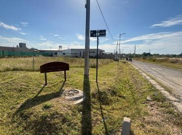 Terreno · 489m² · Lote. | 445