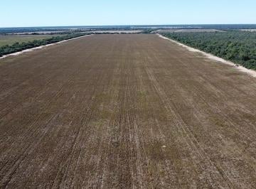 Campo · 5000000m² · Campo en Venta en Anta