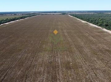 Campo · 5000000m² · Campo en Venta en Anta