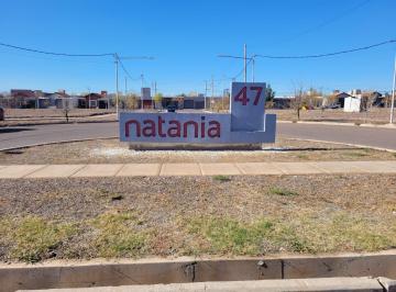 Terreno , Maipú · Venta Lote Esquina en Natania 47, Maipú ¡Listo Para Escriturar!