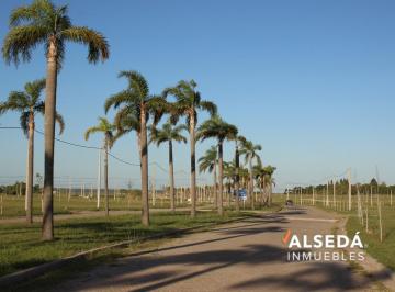 Terreno · 275m² · Terreno Venta Arroyo Seco Tierra de Sueños