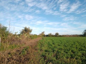 Campo · 120000m² · 1 Ambiente · Venta Ha Camino 60 Cuadras