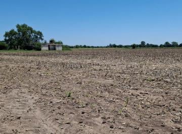 Terreno · 766622m² · Venta Campo 76 Ha Zona Sur