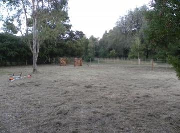 Terreno , Balcarce · Lote - Balcarce - 2000 m -