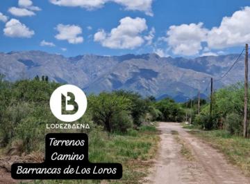 Terreno · 1700m² · Terrenos en Camino Barranca de Los Loros - Villa de Las Rosas