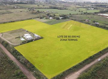 Terreno · 60000m² · Terreno de 60.000 m² con Vistas a La Laguna del Pescado, Zona Termas