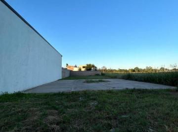 Terreno · 411m² · Terreno Sobre Av Argentina