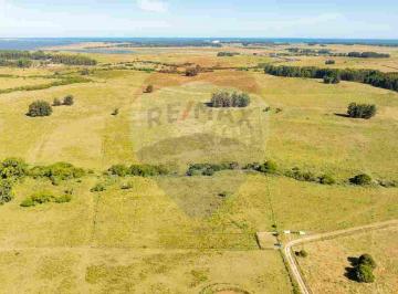 Campo · 14ha · Chacra Marítima en Venta - Ruta 104 José Ignacio