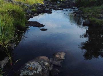 Campo · 56ha · Venta Chacra en Cerro Guazubirá Villa Serrana