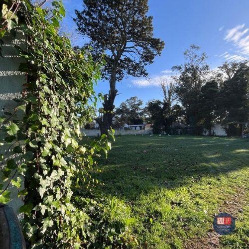 Terreno de 728 m² en Las Dalias, listo para escriturar