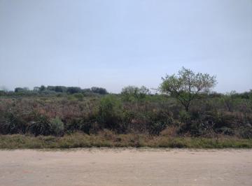 Campo · 100000m² · Campo en San Javier de 10 Ha a m de La Ruta 39