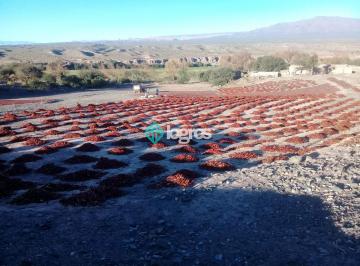 Campo , Molinos · Campo con Proyecto Productivo en Venta de 3500 Has Ubicado en Molinos – Salta
