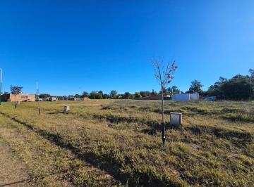 Terreno · 200m² · Lotes en Venta en El Boulevard