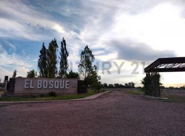 Terreno · 300m² · Lote en Venta B° El Bosque Ii - Rodeo del Medio - Id: