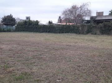 Terreno · 518m² · Venta - Terreno - Punta Chacra