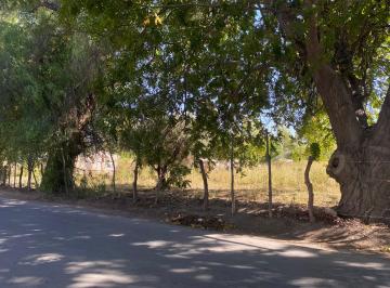 Terreno , Lavalle · Excelente Terreno en Villab Tulumaya, Lavalle