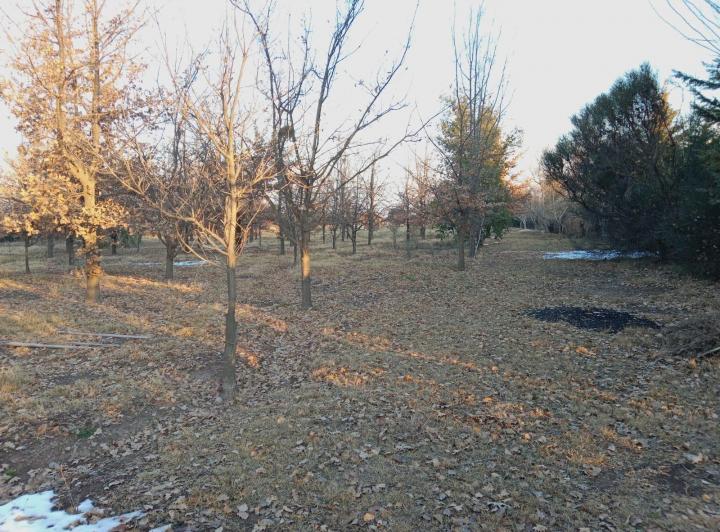 Terreno · 10000m²