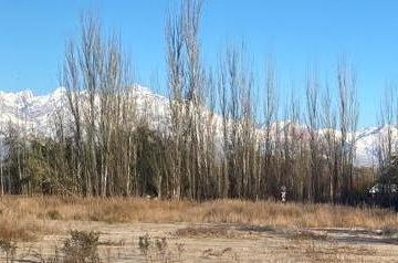 IMPONENTE VISTA · Terreno en Colonia Las Rosas - Tunuyán