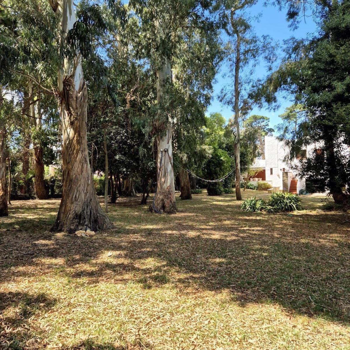 Terreno en Bosque Peralta Ramos, 900m² — Oportunidad única